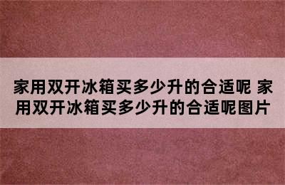 家用双开冰箱买多少升的合适呢 家用双开冰箱买多少升的合适呢图片